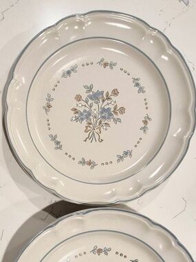 Cottage Core Cordella Bluet Dinner Plates